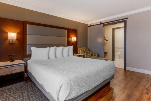 Best Western Plus Forest Park Inn image 9