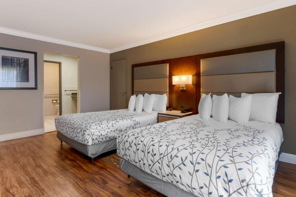 Best Western Plus Forest Park Inn Image 13