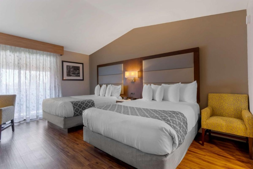 Best Western Plus Forest Park Inn Image 18