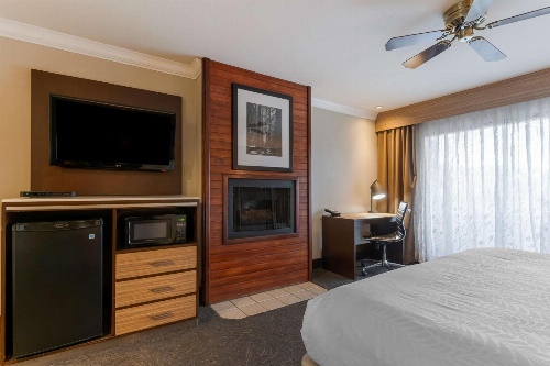 Best Western Plus Forest Park Inn image 2