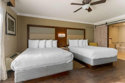 Best Western Plus Forest Park Inn image 21