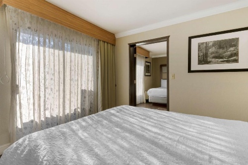 Best Western Plus Forest Park Inn image 22
