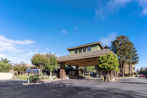 Best Western Plus Forest Park Inn image 37