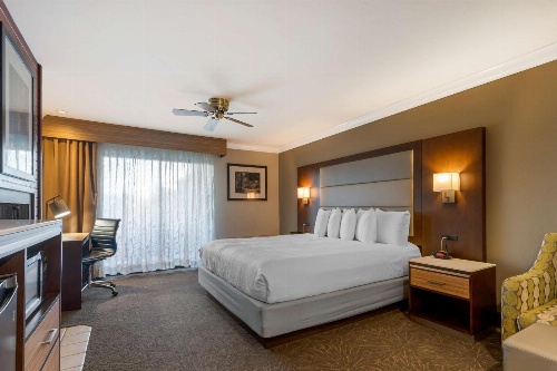 Best Western Plus Forest Park Inn image 4