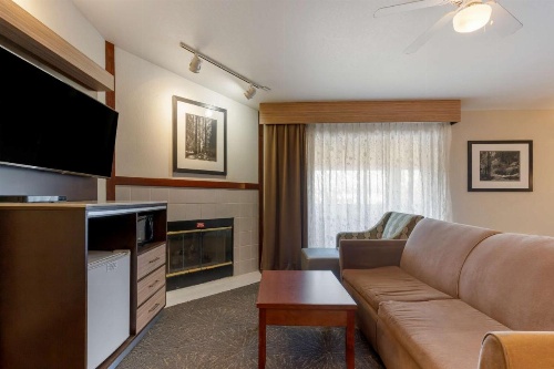 Best Western Plus Forest Park Inn image 46