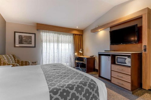 Best Western Plus Forest Park Inn image 47