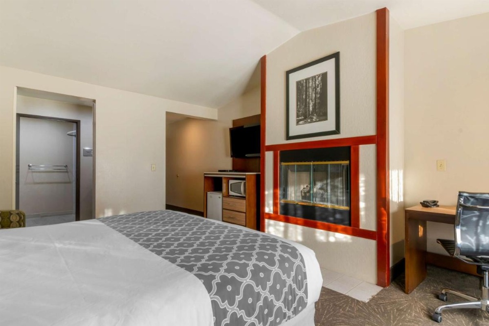 Best Western Plus Forest Park Inn