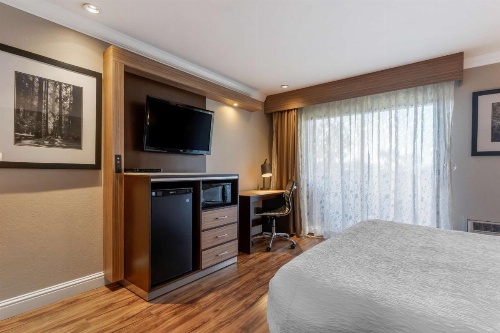Best Western Plus Forest Park Inn image 7