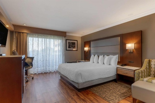 Best Western Plus Forest Park Inn image 8